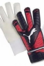 Puma EvoPower Grip 4 Goalkeeper Glove