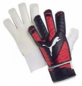 Puma EvoPower Grip 4 Goalkeeper Glove
