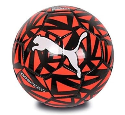 Puma EvoSpeed 5.5 Soccer Ball - 901 Soccer