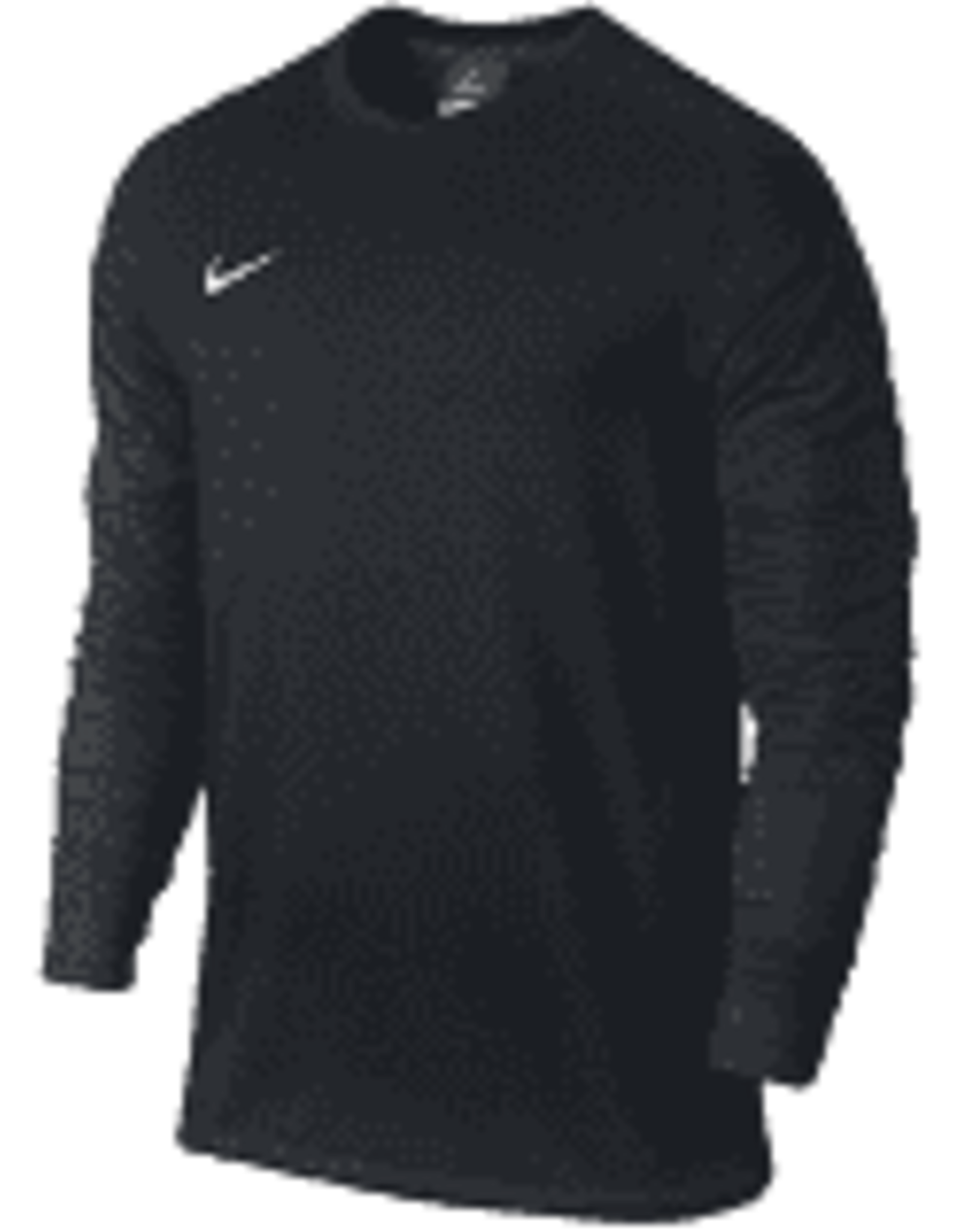 Nike Nike Park II Youth GK Jersey Black Youth Smal