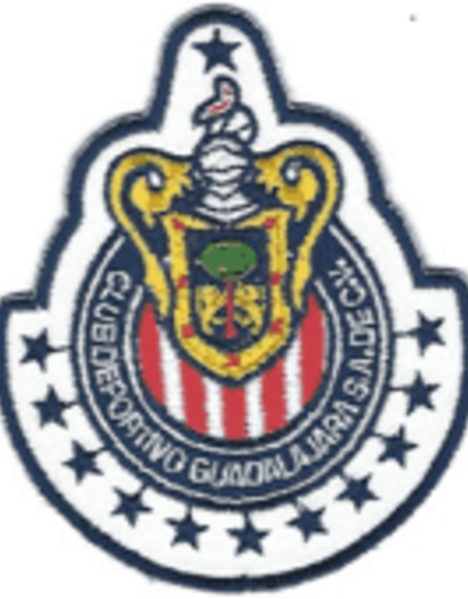 Fast Patch Chivas Patch