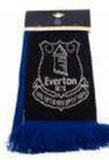 Everton Knitted Scarf