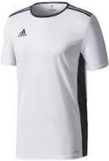 Adidas Adidas Entrada 18 Jersey