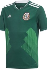 Adidas Mexico Home Jersey