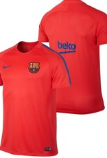 Nike Nike Barca Squad Jersey Crims