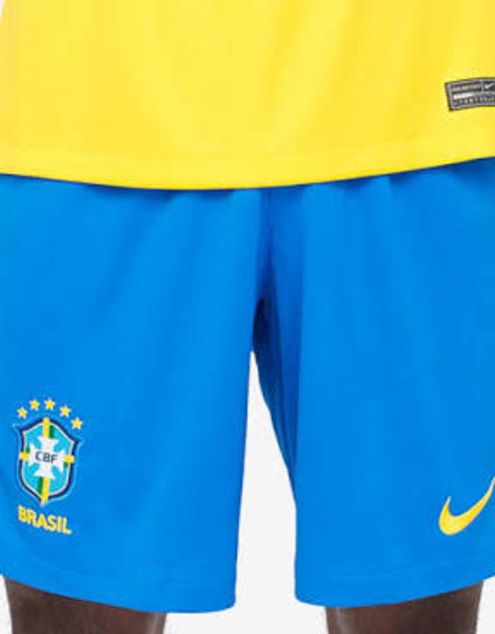 Nike Brasil Shorts