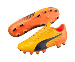 Puma evospeed 17.4 fg outlet
