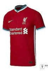 Nike Liverpool M Vapor Match Jersey