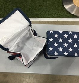 USA Small Cooler Bags