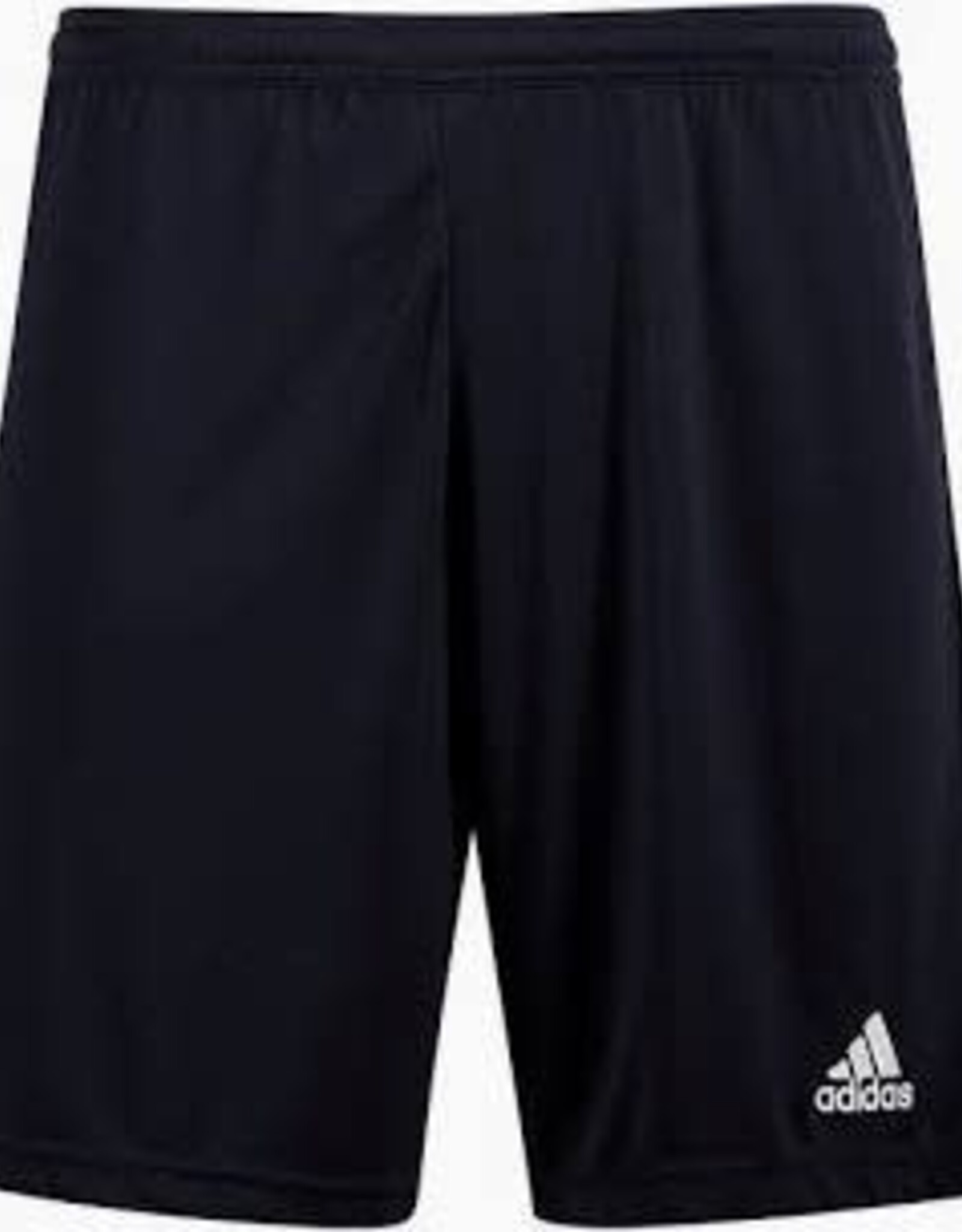 Adidas Adidas Entrada 22 Shorts