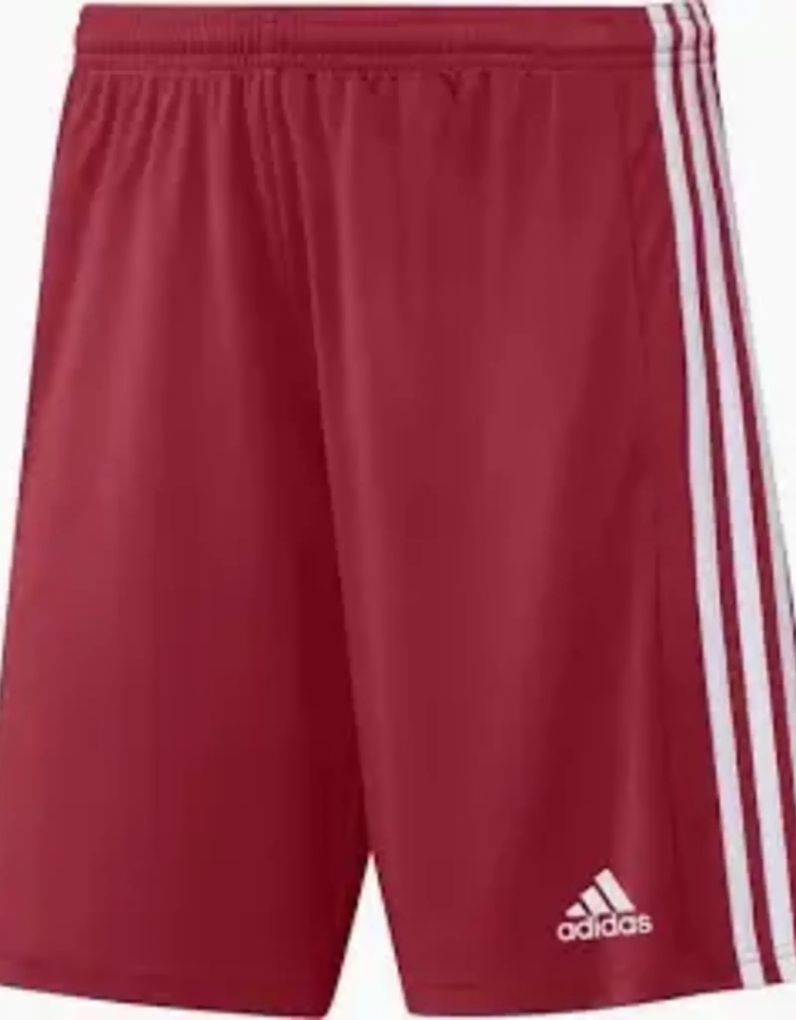 Adidas Adidas Squad 21 Shorts