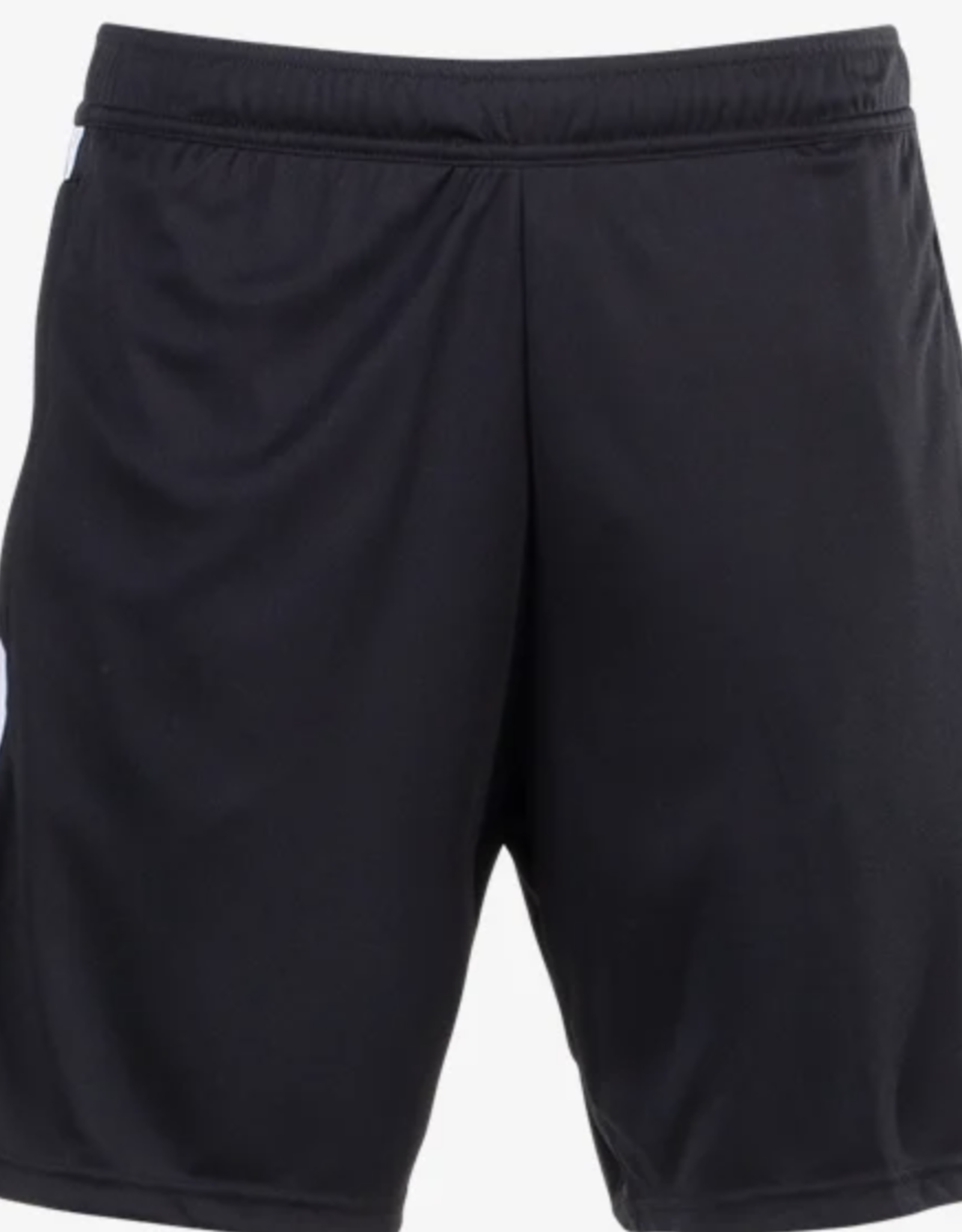 Adidas Tiro 23 Tming Shorts