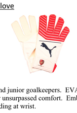 Puma Puma Arsenal OneGrip 17.4 Goalkeeper Glove