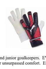 Puma EvoPower Grip 4 Goalkeeper Glove