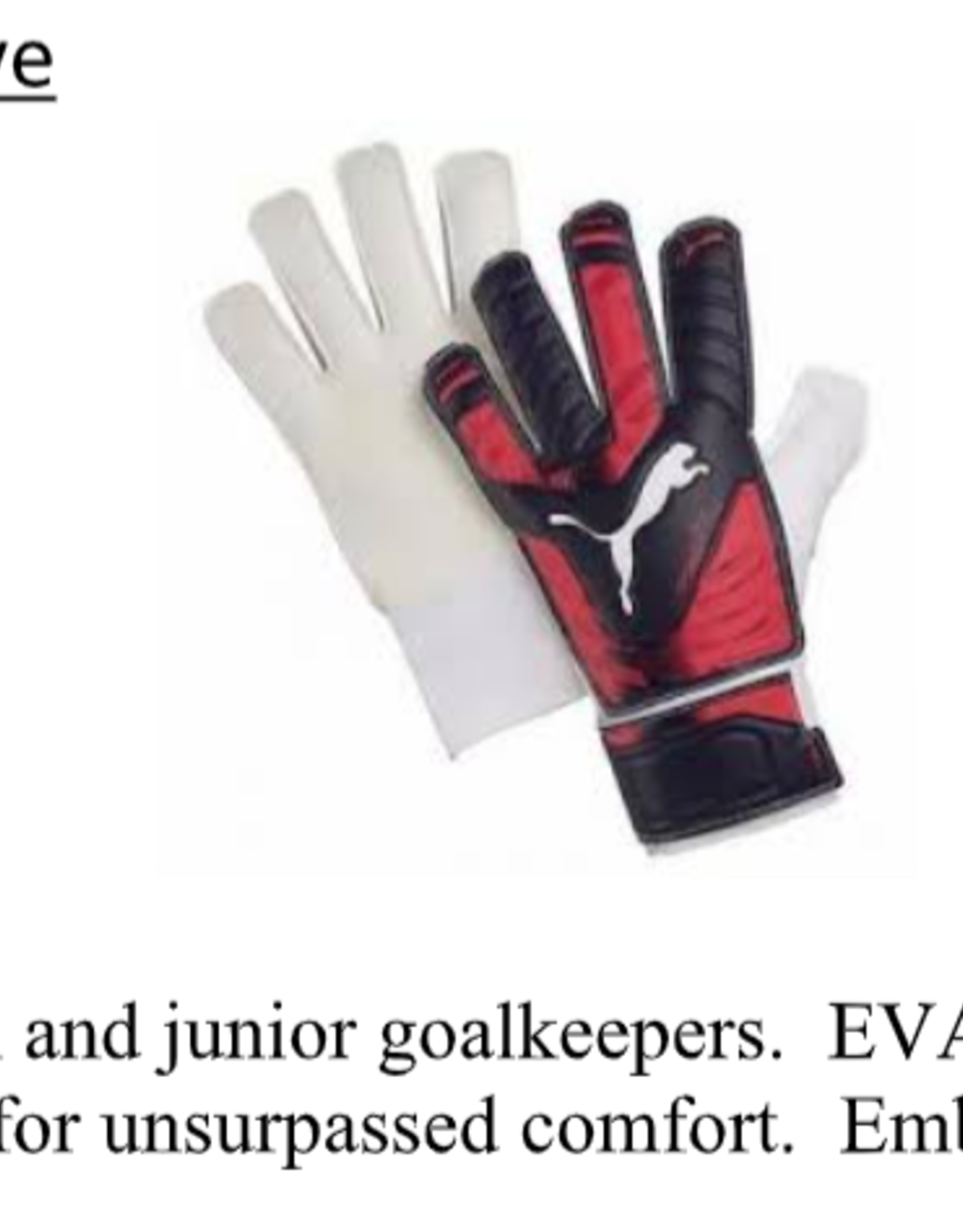 Puma EvoPower Grip 4 Goalkeeper Glove