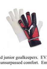 Puma EvoPower Grip 4 Goalkeeper Glove
