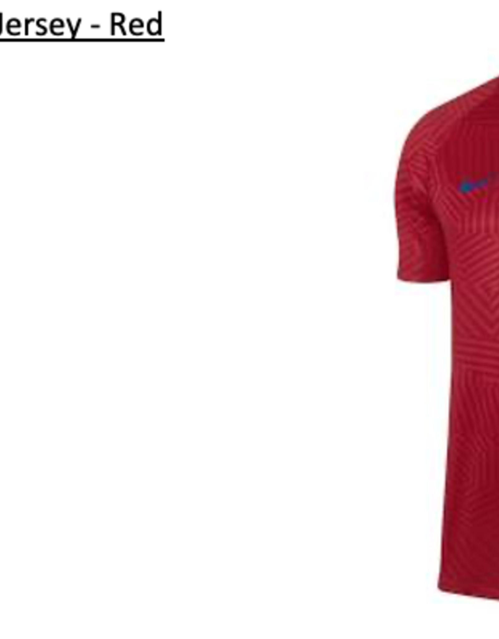 Nike Nike Bacelona Training Jersey
