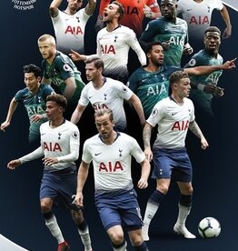 Tottenham Hotspur Poster