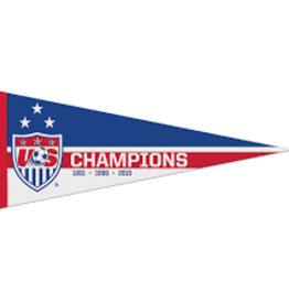 wincarft USA Pennant