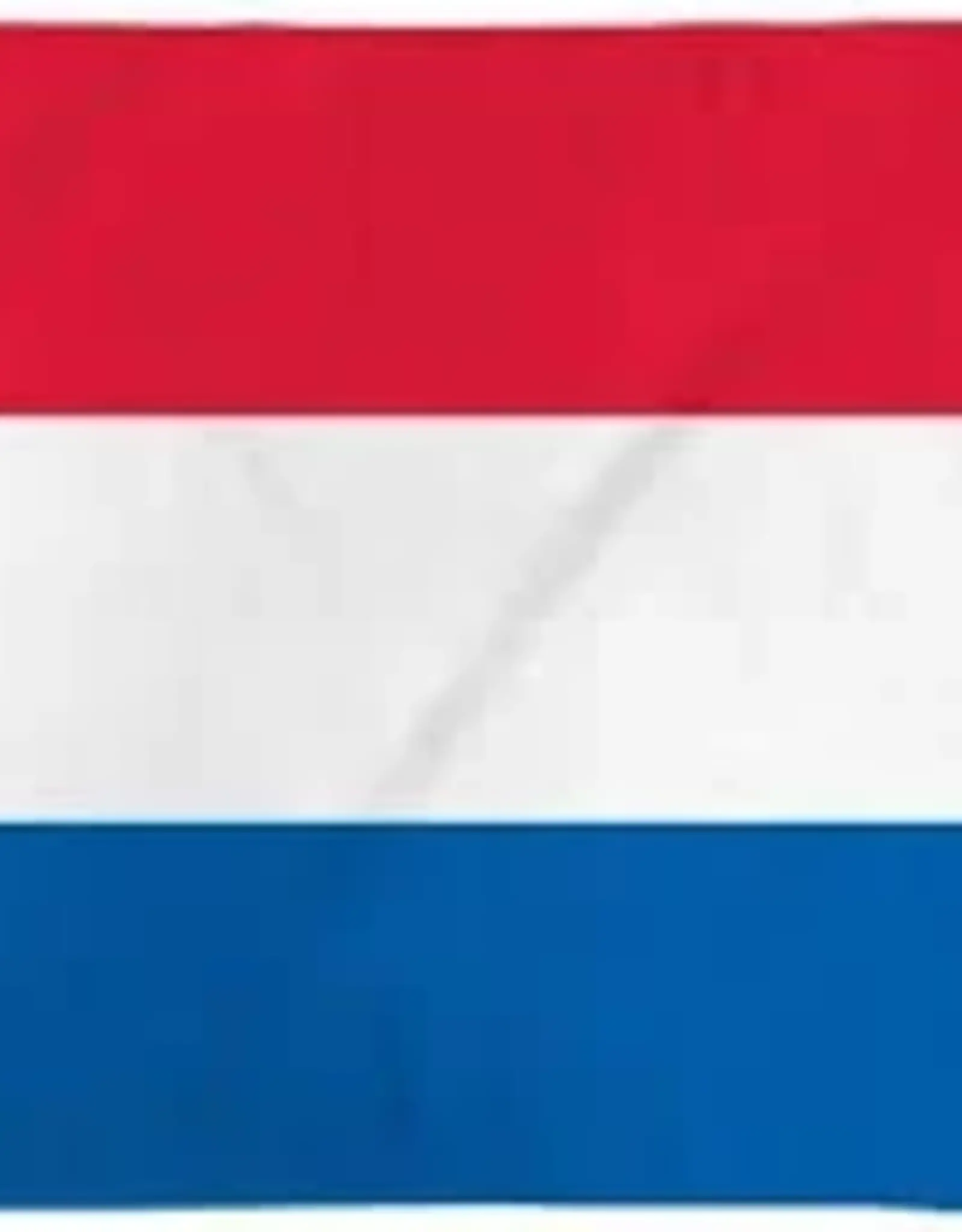 Netherlands 3x5ft Poly Flag