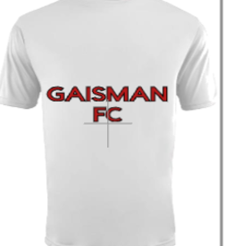 Gaisman Park Soccer Kit