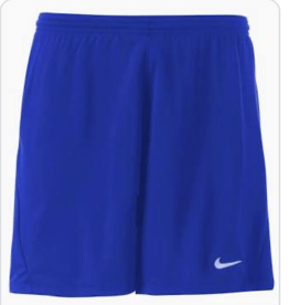 Nike Bolton Nike Game Shorts