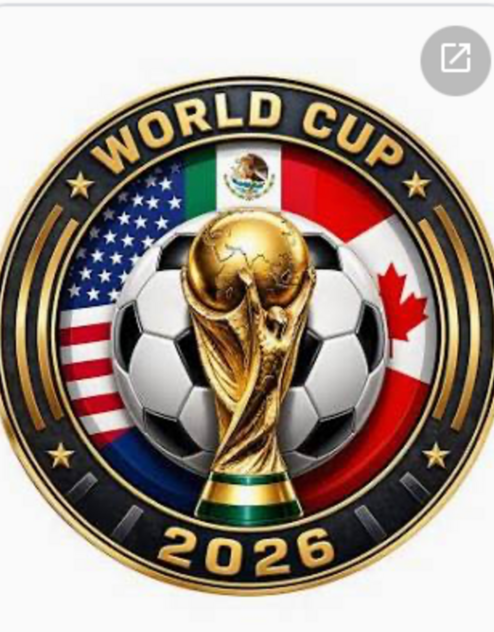 World Cup Logo
