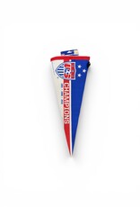 wincarft USA Pennant