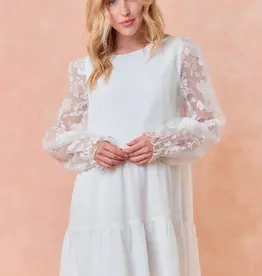 Doe & Rae Sheer Puff Long Sleeve Tiered Mini Dress