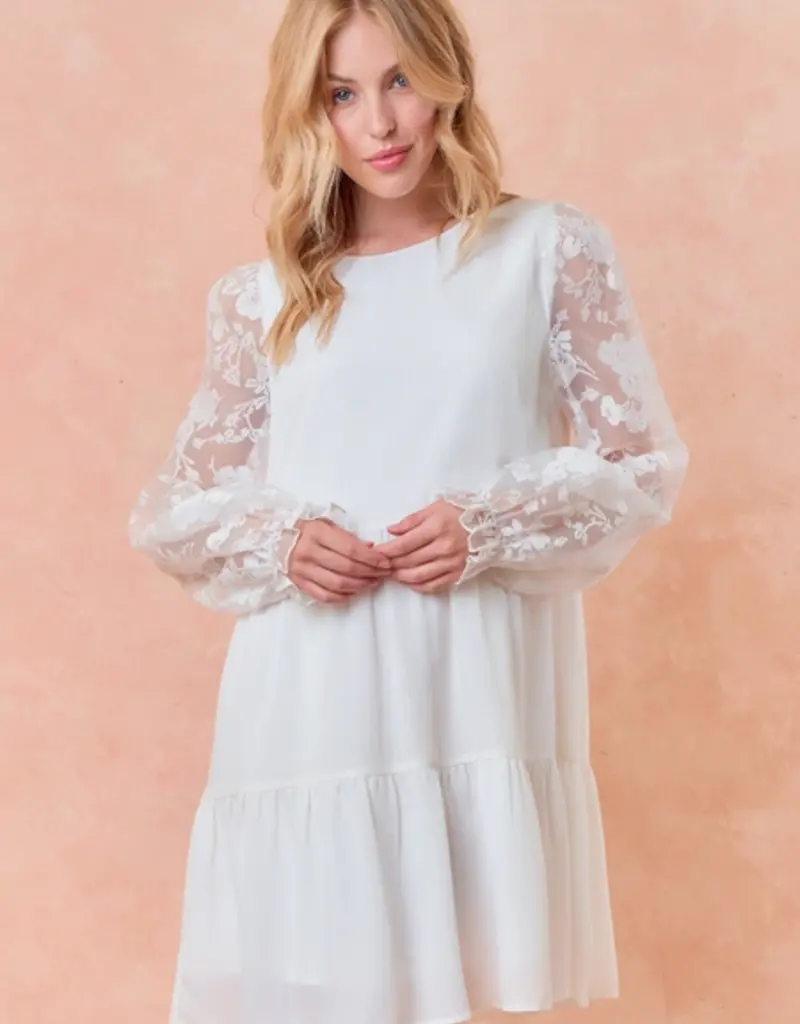 Doe & Rae Sheer Puff Long Sleeve Tiered Mini Dress