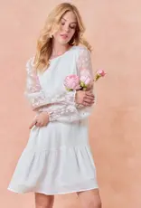 Doe & Rae Sheer Puff Long Sleeve Tiered Mini Dress