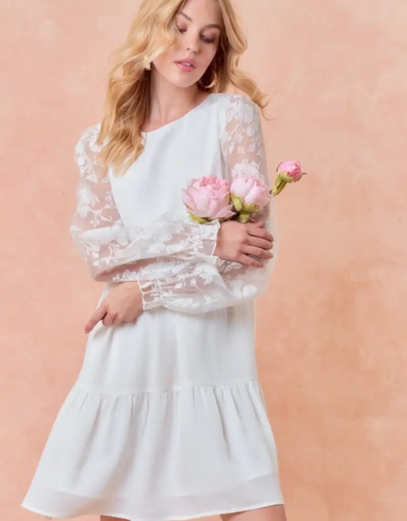 Doe & Rae Sheer Puff Long Sleeve Tiered Mini Dress