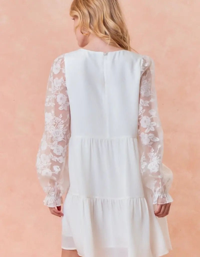 Doe & Rae Sheer Puff Long Sleeve Tiered Mini Dress