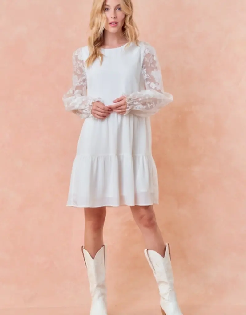 Doe & Rae Sheer Puff Long Sleeve Tiered Mini Dress