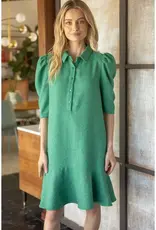 Pleated Half Sleeve Collared Flare Dress