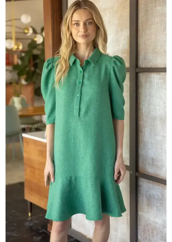 Pleated Half Sleeve Collared Flare Dress