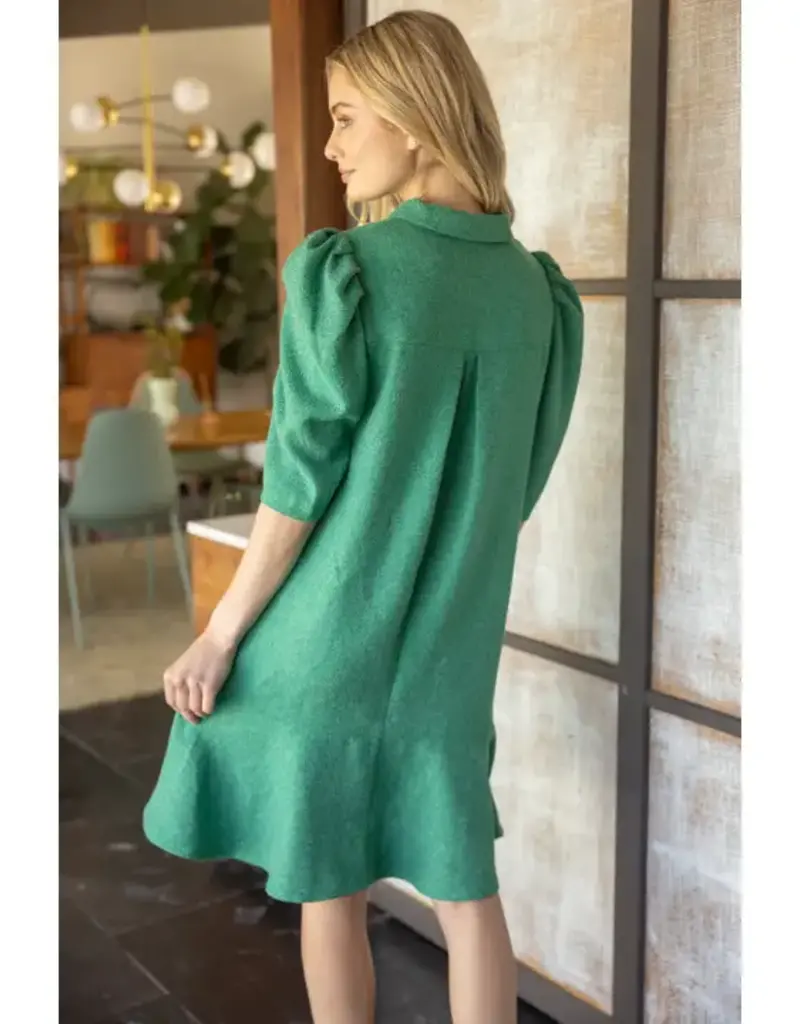 Pleated Half Sleeve Collared Flare Dress
