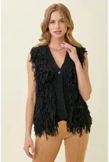 Knit Fringed Sweater Vest