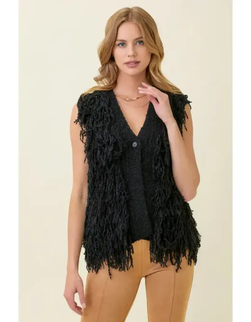 Knit Fringed Sweater Vest