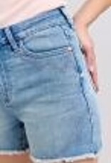 Judy Blue - HW Western Embroidery Detail Cut Off Shorts