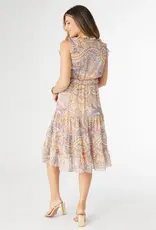 Florence Chiffon Paisley Print Dress