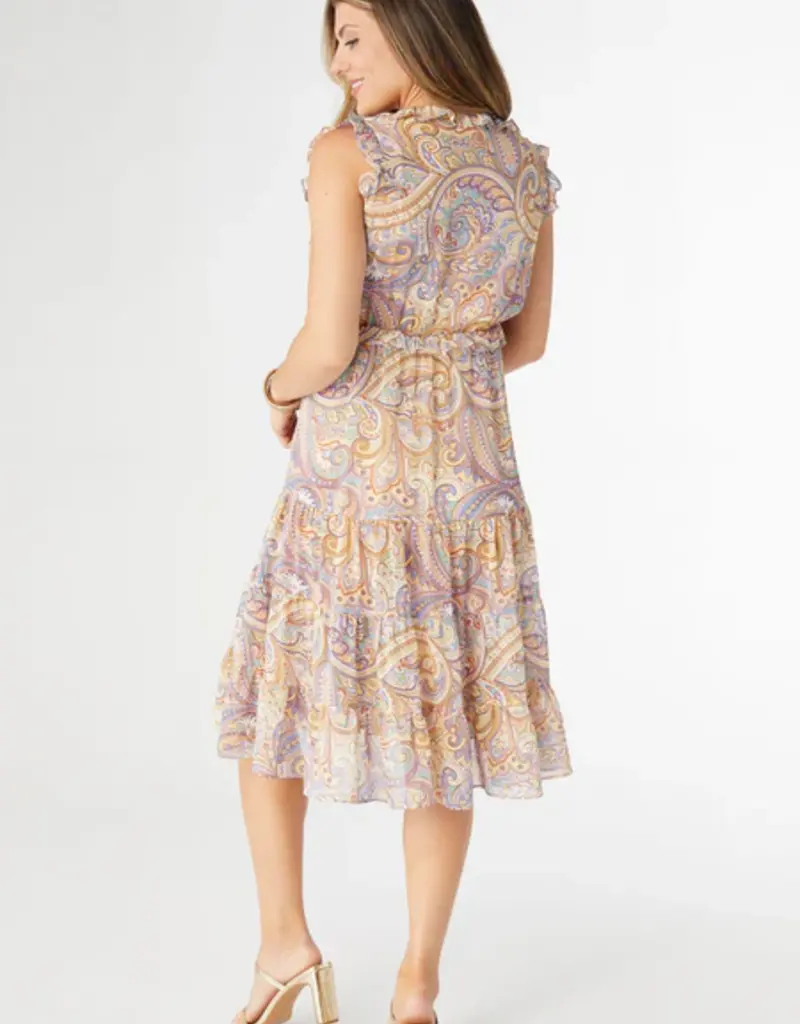 Florence Chiffon Paisley Print Dress