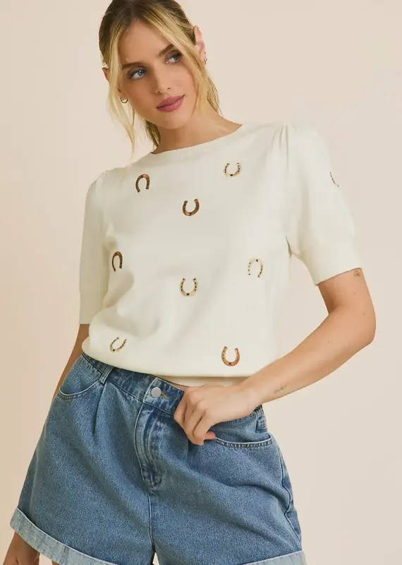 Puff Sleeve Embroidered Knit Top