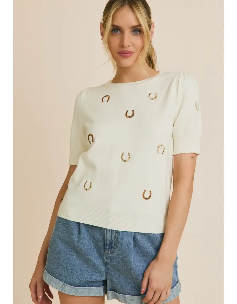 Puff Sleeve Embroidered Knit Top