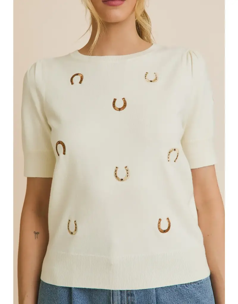 Puff Sleeve Embroidered Knit Top