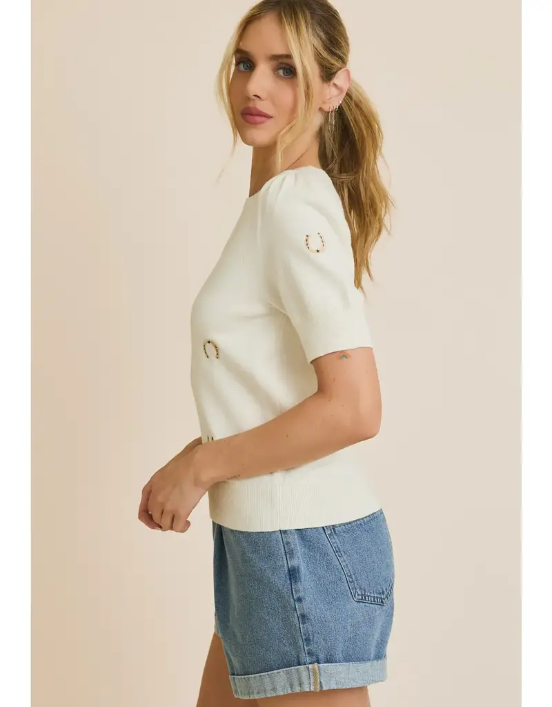 Puff Sleeve Embroidered Knit Top