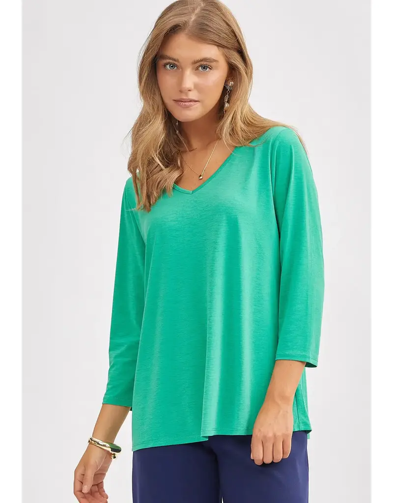 Classic Wrinkle-Free V-Neck Top
