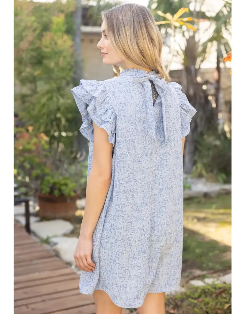 Forget Me Not Ruffle Sleeve Pintuck Dress