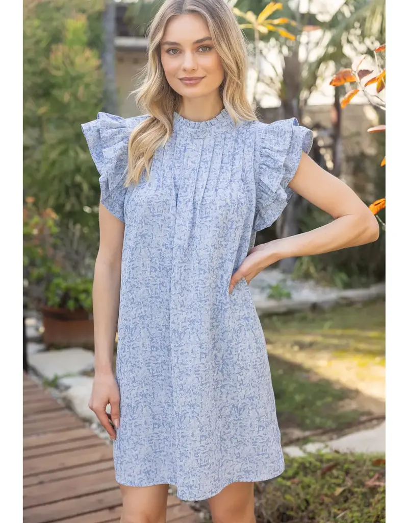 Forget Me Not Ruffle Sleeve Pintuck Dress