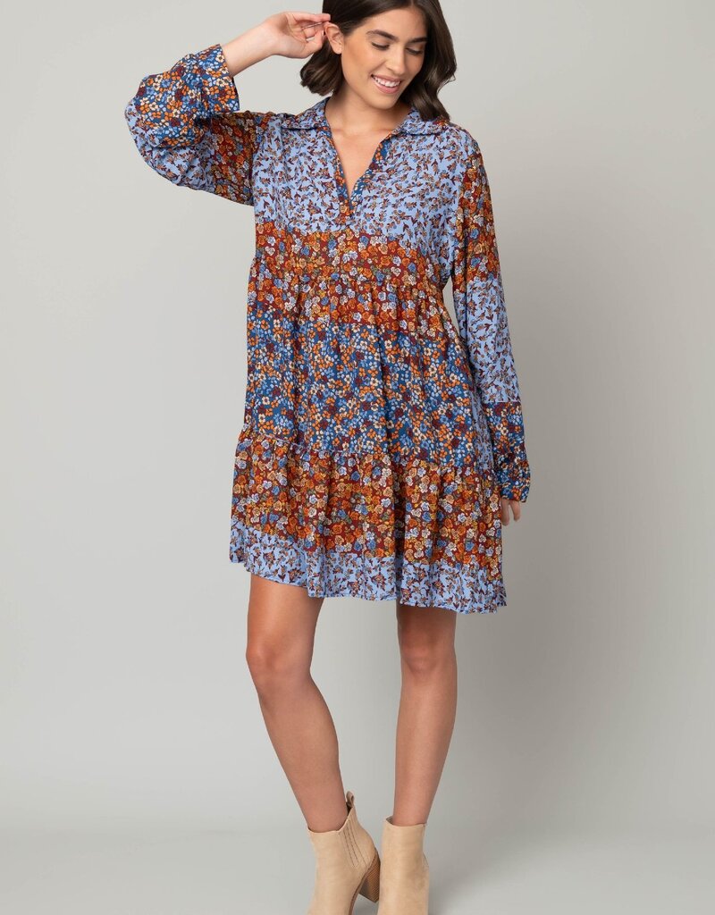 Ditsy Johnny Collar Babydoll Dress